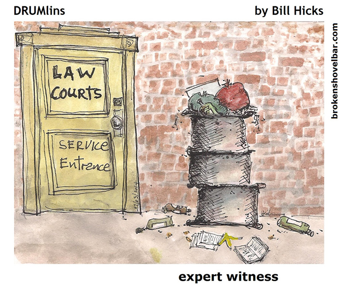 383. expert witness