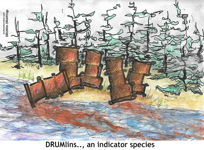 101. indicator species